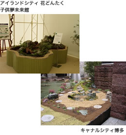 �C���[�W 2