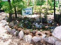 �����s���n��@I�Y��