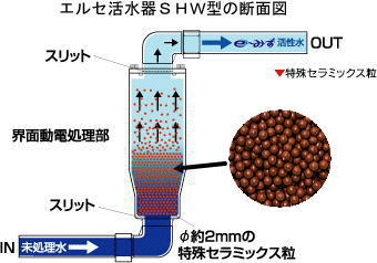 �G���Z������SHW�^�̒f�ʐ}