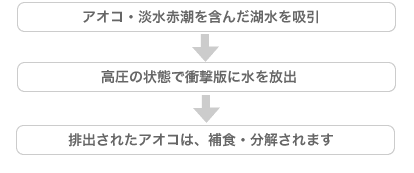 �v�����N�g������@�A�I�R�E�W���Ԓ����܂񂾌ΐ����z���@�����̏�ԂŏՌ��ɐ�����o�@�r�o���ꂽ�A�I�R�͕ߐH�E��������܂�