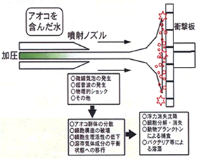 �A�I�R���܂񂾐��@���ˁ@������