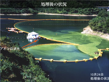 �A�I�R�@����������̏�