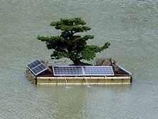 ���ɕ{�s����_���@�d�����̋z�����܂߂������򉻔\��