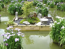 ���ɕ{�V���{�i�Ҋ��r�j�����W�o�i���@�d�����̋z�����܂߂������򉻔\��